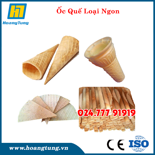 Ốc Quế Các Loại