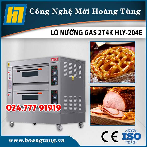 Lò Nướng Thực Phẩm HLY-204E (Gas)